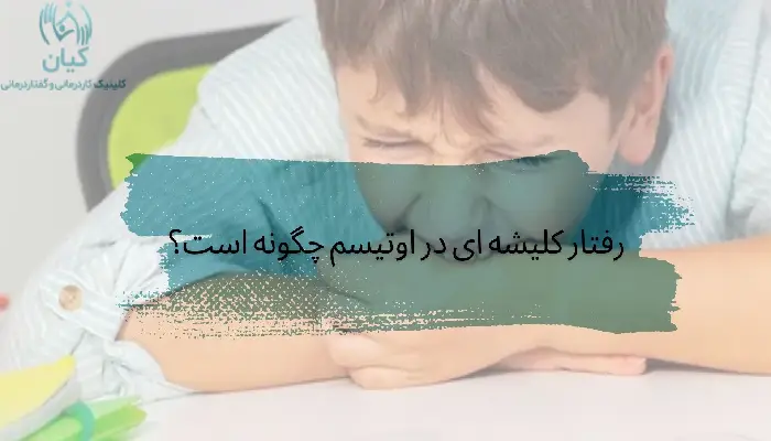 رفتار کلیشه ای در اوتیسم
