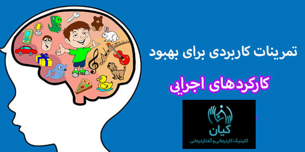 کارکرد اجرایی
