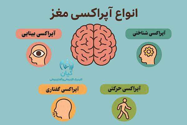 انواع آپراکسی مغز